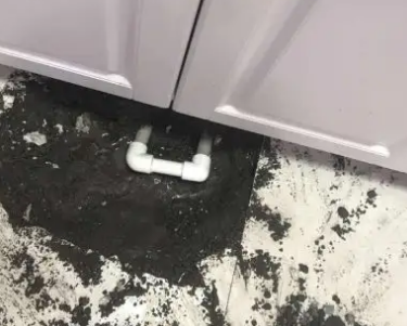 洛扎查漏水哪家好